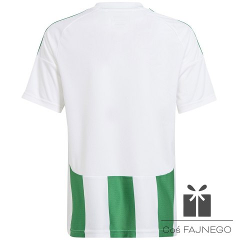 Koszulka adidas STRIPED 24 JSY Jr IW2138