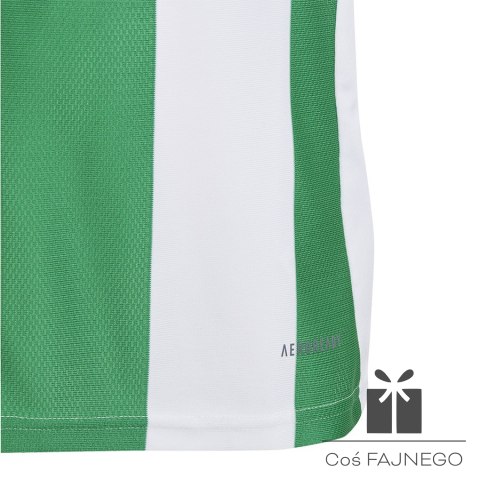 Koszulka adidas STRIPED 24 JSY Jr IW2138