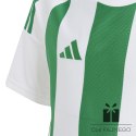 Koszulka adidas STRIPED 24 JSY Jr IW2138