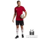 Koszulka adidas Tabela 23 JSY HT6552