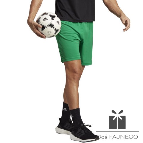Spodenki adidas ENTRADA 22 Short IC7405