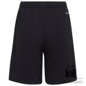 Spodenki adidas ENTRADA 22 Short Y H57502