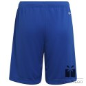 Spodenki adidas ENTRADA 22 Short Y HG6291