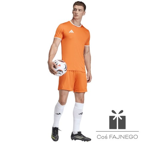 Spodenki adidas ENTRADA 26 Short JZ2512