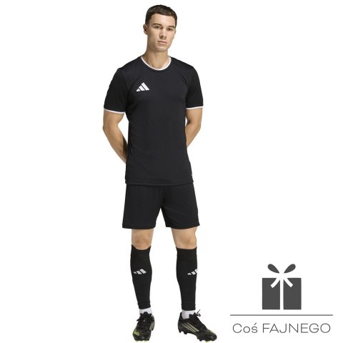 Spodenki adidas ENTRADA 26 Short JZ2521