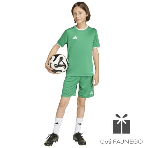 Spodenki adidas ENTRADA 26 Short Junior JZ6530