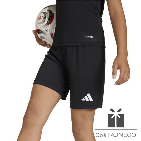 Spodenki adidas ENTRADA 26 Short Junior JZ6531