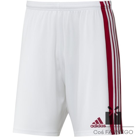 Spodenki adidas SQUADRA 21 Short GN5770
