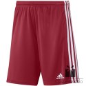 Spodenki adidas SQUADRA 21 Short GN5771