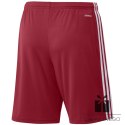 Spodenki adidas SQUADRA 21 Short GN5771