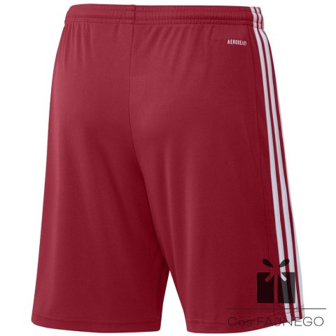 Spodenki adidas SQUADRA 21 Short GN5771