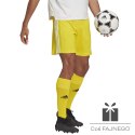 Spodenki adidas SQUADRA 21 Short GN5772