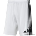Spodenki adidas SQUADRA 21 Short GN5773
