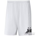 Spodenki adidas SQUADRA 21 Short GN5774