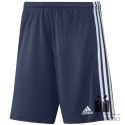 Spodenki adidas SQUADRA 21 Short GN5775