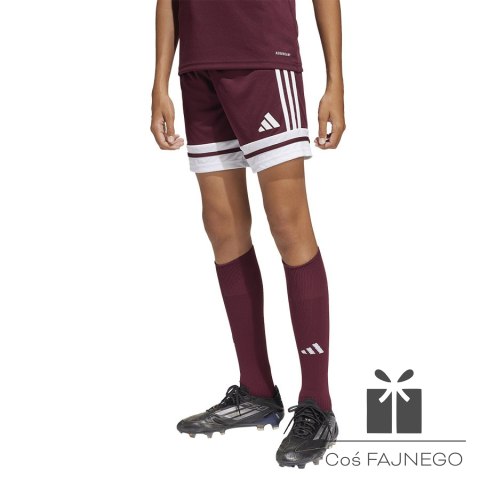 Spodenki adidas SQUADRA 25 JC8665