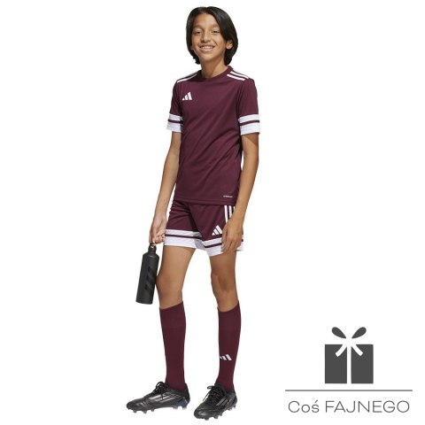 Spodenki adidas SQUADRA 25 JC8665