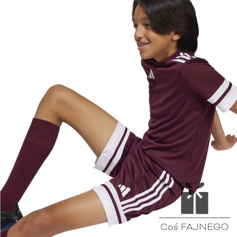 Spodenki adidas SQUADRA 25 JC8665