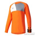 Bluza adidas Assita 17 GK AZ5398