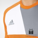 Bluza adidas Assita 17 GK AZ5398