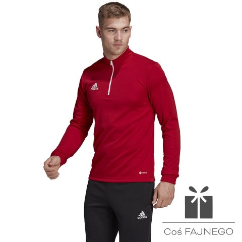 Bluza adidas ENTRADA 22 Training Top H57556