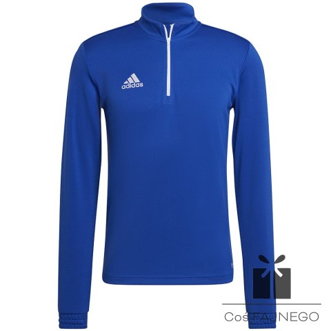 Bluza adidas ENTRADA 22 Training Top HG6286