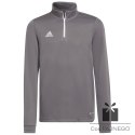 Bluza adidas ENTRADA 22 Training Top Y H57549