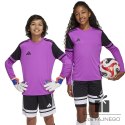 Bluza adidas SQUADRA 25 GK JSY Jr JJ1939