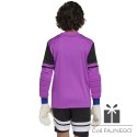 Bluza adidas SQUADRA 25 GK JSY Jr JJ1939