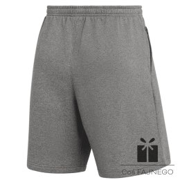 Spodenki Nike Park 26 Flecce IB1238-063