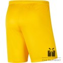 Spodenki Nike Park III BV6855 719