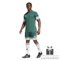 Spodenki adidas SQUADRA 25 JH3411