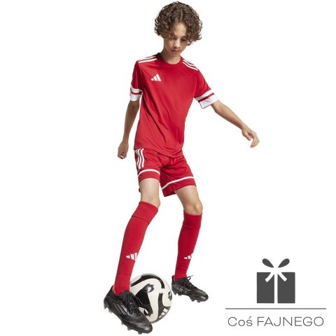 Spodenki adidas SQUADRA 25 JN5456