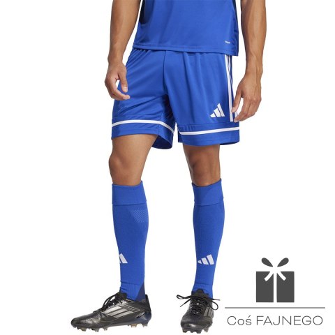 Spodenki adidas SQUADRA 25 Short JN5465