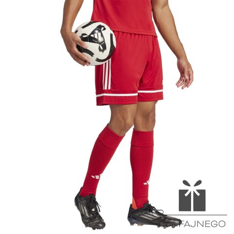 Spodenki adidas SQUADRA 25 Short JN5466