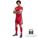 Spodenki adidas SQUADRA 25 Short JN5466