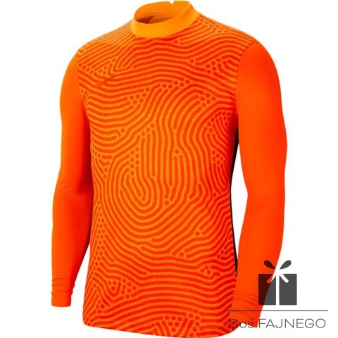Bluza Nike Gardien III Goalkeeper JSY BV6711 803