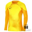 Bluza Nike Gardien IV Goalkeeper JSY DH7967 719