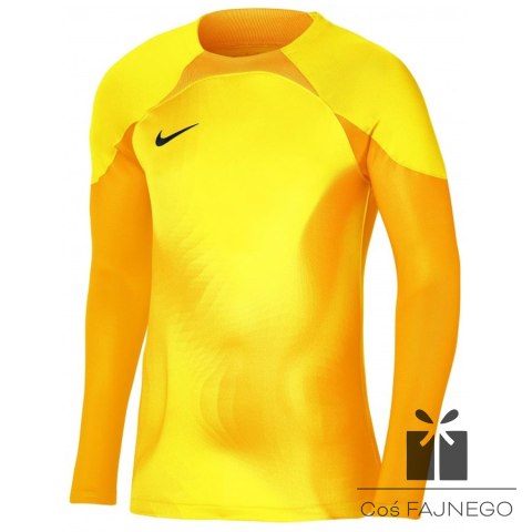 Bluza Nike Gardien IV Goalkeeper JSY DH7967 719