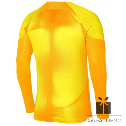 Bluza Nike Gardien IV Goalkeeper JSY DH7967 719