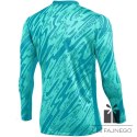 Bluza Nike Gardien V Goalkeeper DF V FD7474-354