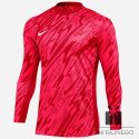 Bluza Nike Gardien V Goalkeeper DF V FD7474-644