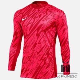 Bluza Nike Gardien V Goalkeeper DF V FD7474-644