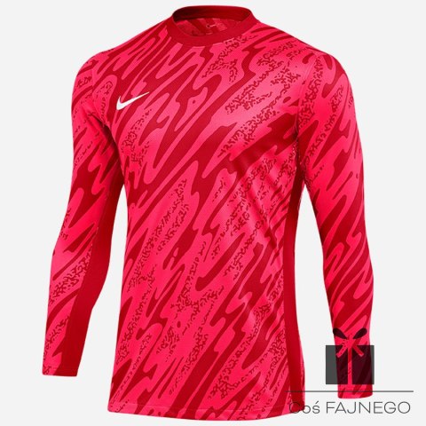Bluza Nike Gardien V Goalkeeper DF V FD7474-644
