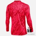 Bluza Nike Gardien V Goalkeeper DF V FD7474-644