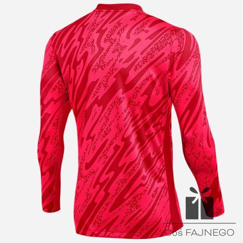 Bluza Nike Gardien V Goalkeeper DF V FD7474-644