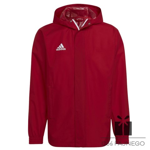 Kurtka adidas ENTRADA 22 AW Jacket HG6299