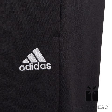 Spodnie adidas ENTRADA 22 Training Panty Y HC0337
