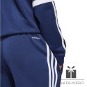 Spodnie adidas SQUADRA 25 Training Pant Jr JD4799
