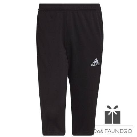 Spodnie piłkarskie adidas ENTRADA 22 3/4 Panty HB0576